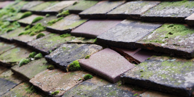 Ollerton And Boughton roof repair costs